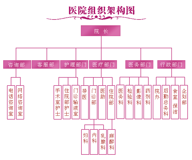 仁德妇科医院组织结构