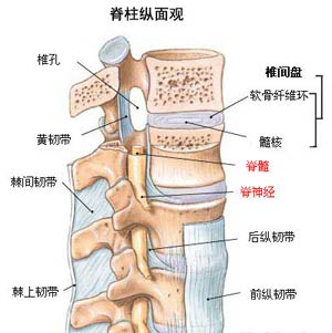 腰椎间盘突出症治疗技术已进入国家前沿